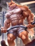  abs anthro canid canine canis clothed clothing domestic_dog fur hi_res male mammal muscular muscular_anthro muscular_male nipples otake pecs physen solo vein veiny_muscles 
