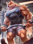  anthro canid canine canis clothed clothing domestic_dog fur hi_res male mammal muscular muscular_anthro muscular_male otake physen solo vein veiny_muscles 