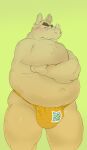  2022 absurd_res anthro asian_clothing belly big_belly blush bulge clothing daich east_asian_clothing fundoshi green_background hi_res japanese_clothing kemono male mammal navel overweight overweight_male rhinoceros simple_background solo underwear 
