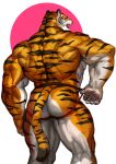  anthro clothed clothing felid fur hi_res jockstrap looking_back male mammal muscular muscular_anthro muscular_male pantherine partially_clothed pawpads solo striped_body striped_fur stripes tiger traver009 underwear 