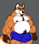 anthro balls_outline beard belly big_bulge bulge canid canine chest_tuft clothing detailed_bulge facial_hair fox fur genital_outline hi_res male mammal musclegut muscular muscular_male nipples overweight overweight_male pubes purplemenace red_fox simple_background smile solo tuft 