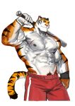  anthro baseball_bat bat_(object) felid fur hi_res male mammal muscular muscular_anthro muscular_male nipples pantherine scar solo striped_body striped_fur stripes tiger traver009 