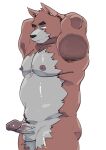  2022 anthro balls canid canine canis chubby_male domestic_dog erection genitals hi_res kemono male mammal moobs nipples penis simple_background slightly_chubby solo ujishiyo white_background 