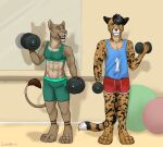  2022 abs anthro athletic athletic_female athletic_male ball barefoot barely_visible_pawpads blue_eyes bottomwear breasts cheetah clothing distracted drawstring duo ear_piercing ear_ring ear_scar ears_back exercise feet felid feline female gaikotsu gym gym_bottomwear gym_clothing gym_shorts halter_top intimidation jersey king_cheetah lion male mammal muscular muscular_female navel pantherine piercing pivoted_ears railing ring_piercing scar shadow shirt shorts signature small_breasts smile standing tail_tuft tank_top topwear tuft weightlifting weights workout yellow_eyes 