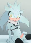  balls blush erection eulipotyphlan genitals hedgehog hi_res idw_publishing kuretto looking_at_viewer male mammal nipples penile penis sega silver_the_hedgehog solo sonic_the_hedgehog_(comics) sonic_the_hedgehog_(idw) sonic_the_hedgehog_(series) 