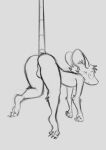  2022 anthro backsack balls biped butt claws digital_media_(artwork) full-length_portrait genitals grey_background hanging_by_tail hi_res looking_at_viewer looking_back looking_back_at_viewer male mammal monochrome murid murine nude perineum portrait rat rear_view rodent schmutzo simple_background sketch solo tail toe_claws 