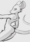  2022 absurd_res anthro balls biped butt digital_media_(artwork) fur genitals hi_res looking_at_viewer looking_back looking_back_at_viewer male mammal monochrome murid murine nude rat rodent schmutzo simple_background sketch solo tail whiskers 
