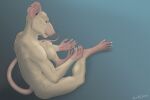  absurd_res hi_res joerat male mammal mood murid murine nude rat rodent solo 