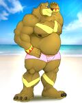  4:5 absurd_res anthro aramsito beach bear belly big_belly big_pecs brown_body brown_fur bulge clothing fur hi_res male mammal markings musclegut muscular muscular_male nipples pecs seaside solo thick underwear wristband yellow_markings 