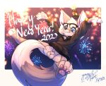  animal_genitalia anthro balls blush bottomless canid canine clothed clothing embarrassed exposed eyewear falling fireworks fox freckles fully_sheathed fur genitals gingy_(gingy_k_fox) gingy_k_fox glasses grey_body grey_fur holidays hoodie male mammal new_year sheath solo text topwear 