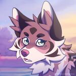  1:1 canid canine canis cel_shading cloud coyote female feral hi_res mammal misha_(takomishadow) morning sea shaded sky solo surprise takomishadow water 