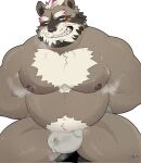  2022 anthro bodily_fluids bulge clothing genital_fluids hi_res lifewonders live_a_hero male mammal moobs mrookii musk nipples overweight overweight_male precum procyonid raccoon simple_background solo sweat underwear viscunam 