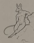  anthro arm_support claws eyebrows front_view genitals hand_behind hi_res inner_ear_fluff leaning_on_elbow line_art malcombtheteadragon male mammal mouse murid murine pecs penis pinup pose realistic_anatomy relaxing rodent solo thin_tail toe_claws tuft whiskers 