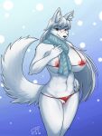  3:4 absurd_res anthro areola big_breasts bikini blush breasts canid canine clothed clothing coolryong female fox fur genitals hair hi_res mammal nipples pussy solo swimwear 