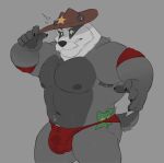  2022 anthro armpit_hair badger banknote black_claws black_nose blain_wolf blue_eyes body_hair brown_clothing brown_cowboy_hat brown_hat brown_headwear bulge claws clothed clothing colored countershade_hands countershade_head countershade_torso countershading cowboy_hat detailed_bulge european_badger facial_hair fur grey_background grey_body grey_countershading grey_fur grey_nipples happy_trail hat headgear headwear hi_res holding_clothing holding_hat holding_headgear holding_headwear holding_object male mammal meles money multicolored_body multicolored_fur musclegut mustache mustelid musteline navel nipples pecs portrait red_clothing red_speedo red_swimwear short_tail simple_background skimpy slightly_chubby slightly_chubby_anthro slightly_chubby_male solo speedo swimwear tail three-quarter_portrait white_body white_countershading white_fur 