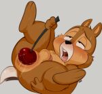  ahegao anal anal_juice anal_masturbation anal_penetration anthro anus balls blush bodily_fluids brown_body brown_fur butt cherry chip_&#039;n_dale_rescue_rangers chip_(disney) dandi disney food food_fetish food_in_ass food_insertion food_play fruit fur genitals improvised_sex_toy looking_pleasured male mammal masturbation multicolored_body multicolored_fur nude open_mouth penetration penis plant rodent sciurid simple_background solo sweat tongue tongue_out tree_squirrel two_tone_body two_tone_fur 