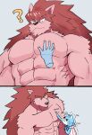  2_panel_comic abs anthro biceps big_muscles blue_body blue_fur blush canid canine canis duo fur grey_background hair huge_muscles looking_down_at_another male male/male mammal muscular muscular_anthro muscular_male pec_grab pecs question_mark red_hair serratus simple_background size_difference soonico wolf 