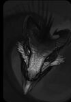  ambiguous_gender dragon feral horn mojo_(disambiguation) monochrome scalie solo 