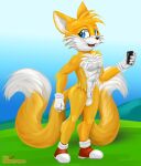  anthro canid canine casual_nudity fox hi_res male mammal miles_prower outside sega smartwhitefang solo sonic_the_hedgehog_(series) 