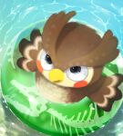  2021 animal_crossing anthro avian bird blathers_(animal_crossing) brown_body flotation_device hi_res high-angle_view looking_at_viewer looking_up_at_viewer male neocerapaima nintendo open_mouth owl partially_submerged solo swimming 