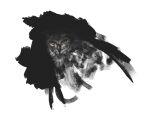 absurd_res ambiguous_gender avian beak bird bubo_(genus) digital_media_(artwork) eurasian_eagle-owl feathered_wings feathers feral hi_res kotia looking_at_viewer orange_eyes owl simple_background solo true_owl wings 