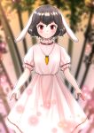  1girl animal_ears bamboo bangs black_hair blurry blurry_background blush breasts carrot_necklace closed_mouth commentary_request dress feet_out_of_frame floppy_ears frilled_sleeves frills highres inaba_tewi jewelry kyabekko looking_at_viewer necklace outline pink_dress puffy_short_sleeves puffy_sleeves rabbit_ears rabbit_girl red_eyes ribbon-trimmed_dress short_hair short_sleeves small_breasts smile solo touhou white_outline 