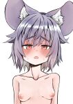  1girl absurdres animal_ear_fluff animal_ears bangs blush breasts commentary_request completely_nude ginger_ale_(syouga_6383) grey_hair half-closed_eyes heart heart-shaped_pupils highres looking_at_viewer mouse_ears mouse_girl nazrin nipples nude open_mouth portrait short_hair simple_background small_breasts solo symbol-shaped_pupils touhou white_background 