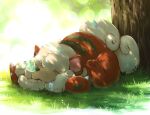  asakihayato blurry bokeh claws commentary_request day depth_of_field drooling fang fang_out grass hisuian_growlithe no_humans nose_bubble outdoors pokemon pokemon_(creature) saliva signature sleeping solo tree 