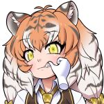  1girl animal_ear_fluff animal_ears antenna_hair bangs big_hair bow brown_vest collared_shirt disembodied_limb eyelashes fang finger_in_another&#039;s_mouth grey_hair hair_between_eyes hair_bow kemono_friends kuma_(kumahoihoi) long_hair looking_at_viewer multicolored_hair multiple_hair_bows necktie orange_hair plaid plaid_bow plaid_necktie shirt siberian_tiger_(kemono_friends) simple_background solo_focus teeth tiger_ears tiger_girl upper_body vest white_background white_hair white_shirt yellow_bow yellow_eyes yellow_necktie 