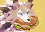  blue_eyes bread commentary_request fangs food highres ktyon3 lettuce lycanroc lycanroc_(midday) mouth_hold no_humans pokemon pokemon_(creature) sandwich solo tomato tomato_slice upper_body yellow_background 