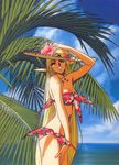  90&#039;s 90's 90s bikini deedlit elf hat izubuchi_yutaka oldschool palm_tree pointy_ears record_of_lodoss_war shitajiki smile swimsuit tree wink yuuki_nobuteru 