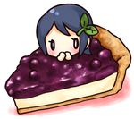  blueberry food fruit kuroto pie 