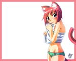  animal_ears cat_ears cat_tail kitty klaus_reinbach_iii original panties pink pink_hair solo tail towel underwear 