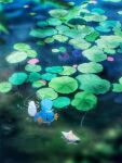  alternate_color arc_draws blurry commentary_request day highres lily_pad mudkip no_humans outdoors pokemon pokemon_(creature) ripples shiny_pokemon swimming water 