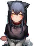  1girl absurdres animal_ears arknights bad_id bad_pixiv_id blush character_name closed_mouth hair_between_eyes highres looking_at_viewer simple_background solo tab_head tail texas_(arknights) white_background wolf_ears wolf_girl wolf_tail yellow_eyes 