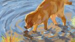 animal animal_focus dog golden_retriever highres no_humans original plant scenery ter water waves yellow_fur 