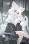  1girl animal_ears black_gloves extra_ears fox_ears fox_girl fox_tail gloves highres jacket long_sleeves looking_at_viewer off_shoulder open_clothes open_jacket original puffy_long_sleeves puffy_sleeves red_eyes shirt short_hair sitting sumishi_(sumisi_3) tail white_hair white_shirt 
