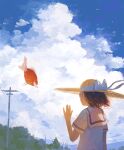  1girl blue_sky brown_hair cloud cloudy_sky commentary day fish fjsmu flying_fish from_behind goldfish hand_up hat hat_ribbon highres looking_at_viewer neckerchief original outdoors power_lines ribbon scenery school_uniform serafuku shirt short_hair sideways_glance sky sun_hat surreal tree utility_pole white_shirt 