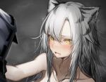  1girl 1other absurdres ambiguous_gender animal_ears arknights bangs blush collarbone commentary doctor_(arknights) fang grey_background grey_hair hair_between_eyes highres indra_(arknights) long_hair multicolored_hair nude open_mouth out-of-frame_censoring paid_reward_available skin_fang striped_hair tab_head tiger_ears tiger_girl two-tone_hair upper_body yellow_eyes 