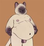  2019 animated anthro balls belly chubby-shark claws digital_media_(artwork) domestic_cat ear_tuft eyes_closed felid feline felis flaccid fur humanoid_hands humanoid_penis jiggle low_res male mammal navel nipples nude overweight overweight_male paws penis siamese simple_background smile solo standing tuft 