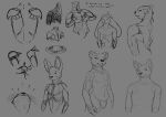  absurd_res canid canine exclamation_point fox grey_background hi_res jagrabbit lagomorph leporid mammal mustelid otter rabbit simple_background sketch sketch_page whiskers 