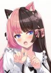  1girl amaner animal_ears black_hair blue_eyes blush cat_ears collarbone facial_mark hair_ribbon highres long_hair long_sleeves multicolored_hair open_mouth pink_hair pink_ribbon ribbon shirt tachibana_hinano_(vtuber) two-tone_hair upper_body virtual_youtuber vspo! whisker_markings white_shirt 