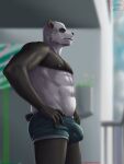  anthro bear beastars biped blurred_background bulge clothing detailed_bulge giant_panda gouhin_(beastars) hands_on_hips hermesdidit hi_res looking_away male mammal muscular muscular_anthro muscular_male nipples solo standing underwear 