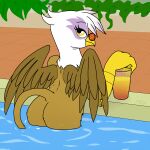  2020 alcohol avian beak beverage brown_body brown_feathers brown_fur brown_tail butt digital_drawing_(artwork) digital_media_(artwork) eyelashes eyewear feathered_wings feathers female feral friendship_is_magic fur gilda_(mlp) gryphon hasbro hi_res looking_at_viewer looking_back looking_back_at_viewer my_little_pony mythological_avian mythology partially_submerged plant pony_quarantine shrub solo suggestive sunglasses swimming_pool talons water white_body white_feathers wings yellow_eyes 