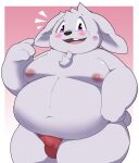  2023 anthro belly big_belly blush bulge clothing hi_res kemono kusosensei lagomorph leporid male mammal moobs navel nipples overweight overweight_male rabbit solo underwear 
