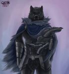  armor blaidd_(elden_ring) canid canine canis clothed clothing elden_ring fantasy fromsoftware helping hi_res male mammal solo videogame_setting wolf 