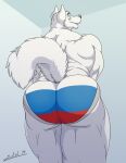  anthro arctic_wolf big_butt big_muscles blue_eyes butt canid canine canis clothing fur hair hi_res huge_butt juano looking_at_viewer looking_back male mammal muscular muscular_male russia russian russian_flag sergei_(juano) simple_background solo underwear white_body white_fur wolf 