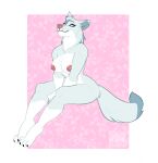  animal_crossing anthro areola big_breasts blue_eyes breasts canid canine canis chest_tuft dipstick_tail eyelashes female fur grey_body grey_fur head_tuft hi_res looking_at_viewer mammal markings nintendo nipples nude pattern_background pink_areola pink_background pink_nipples pinup pose simple_background sitting smile smutzkii solo tail tail_markings thick_thighs tuft white_background white_body white_fur whitney_(animal_crossing) wide_hips wolf 