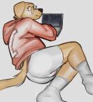  absurd_res anthro bulge canid canine canis clothed clothing digital_media_(artwork) foxfawl hi_res male mammal simple_background solo underwear 