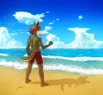  anthro athletic athletic_male back_muscles beach canid canine canis clothed clothing domestic_dog hi_res male mammal sceptile_(artist) sea seaside solo topless water 